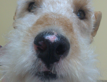 despues del tratamiento